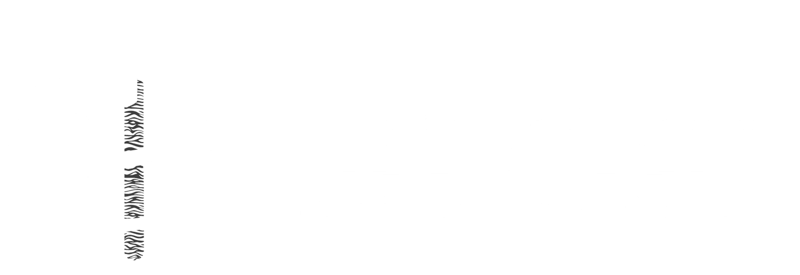 Somachir Logo